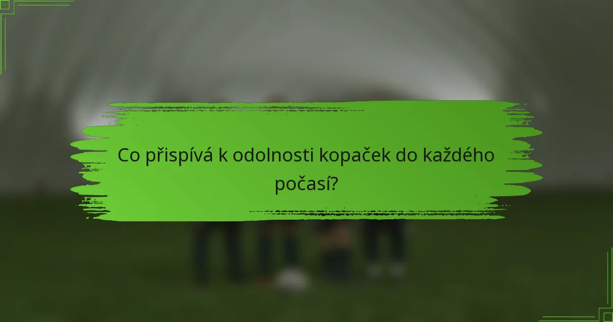 Co přispívá k odolnosti kopaček do každého počasí?