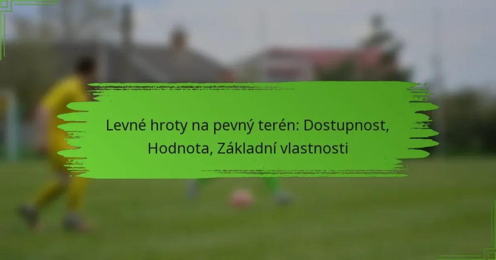 Levné hroty na pevný terén: Dostupnost, Hodnota, Základní vlastnosti