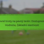 Levné hroty na pevný terén: Dostupnost, Hodnota, Základní vlastnosti