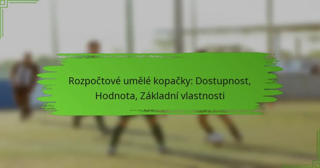 Rozpočtové umělé kopačky: Dostupnost, Hodnota, Základní vlastnosti