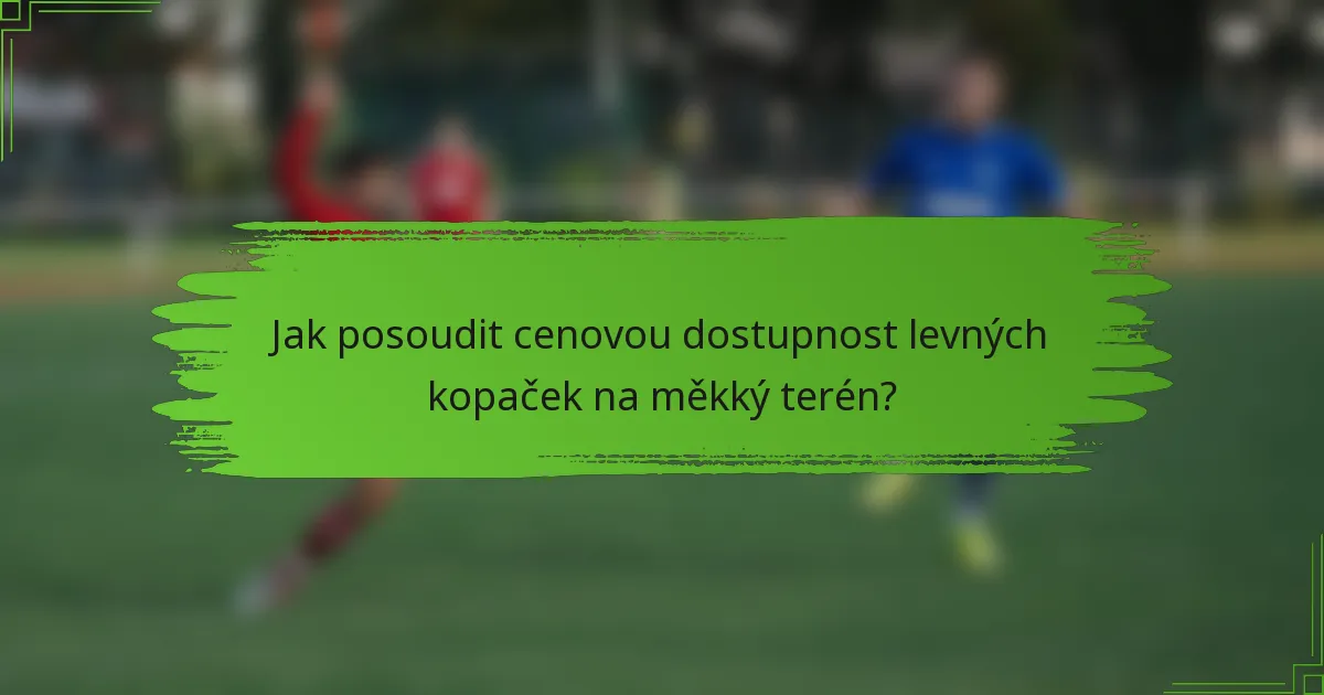 Jak posoudit cenovou dostupnost levných kopaček na měkký terén?