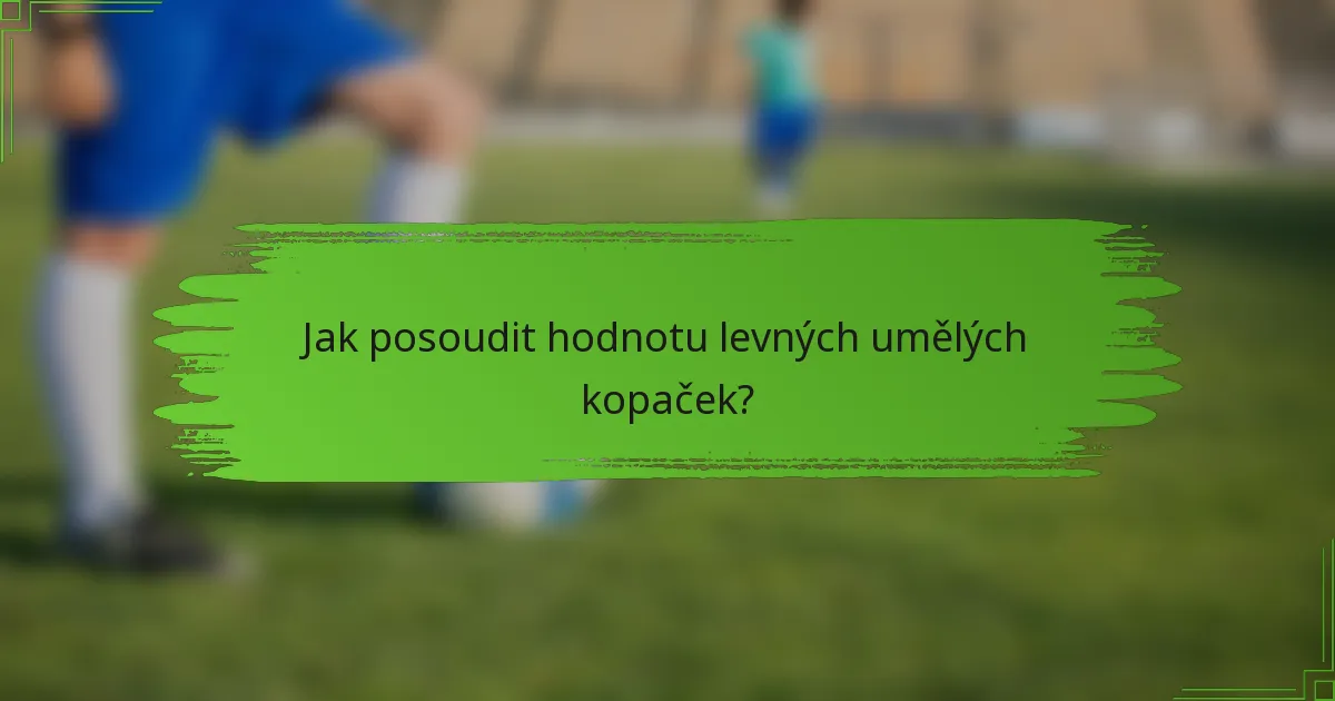 Jak posoudit hodnotu levných umělých kopaček?