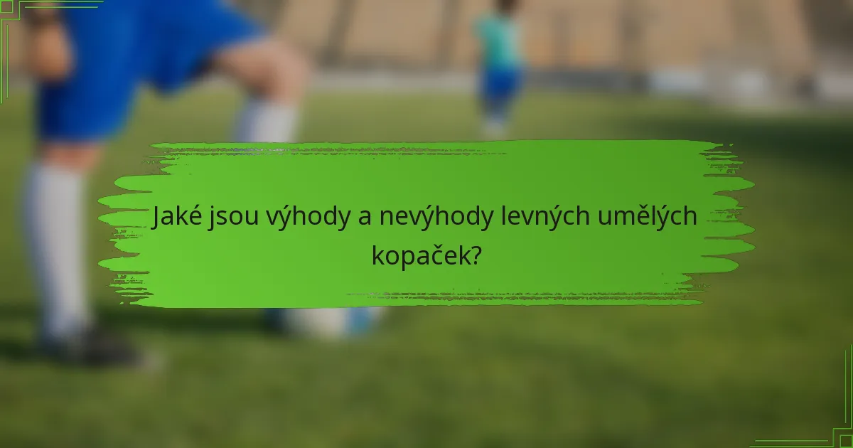 Jaké jsou výhody a nevýhody levných umělých kopaček?