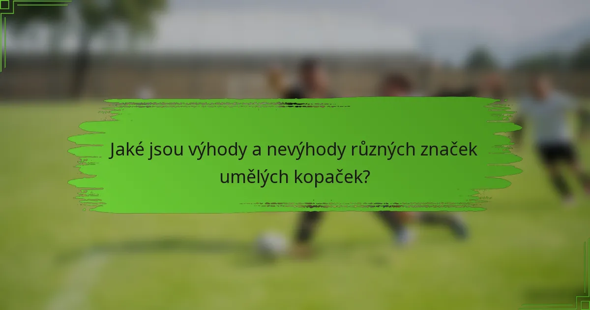 Jaké jsou výhody a nevýhody různých značek umělých kopaček?