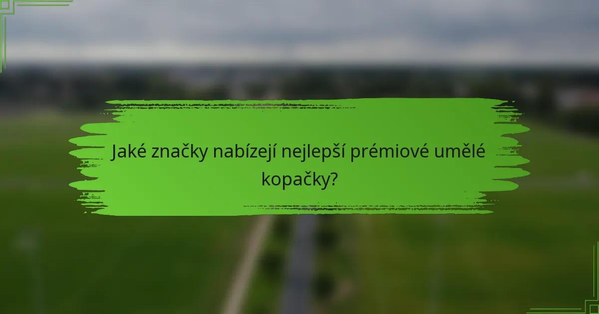 Jaké značky nabízejí nejlepší prémiové umělé kopačky?