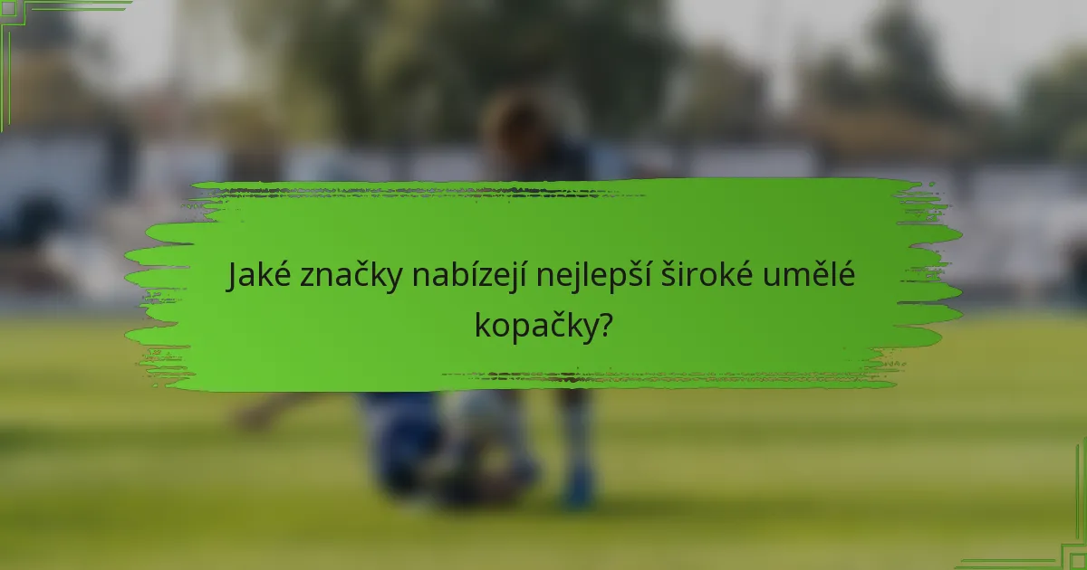 Jaké značky nabízejí nejlepší široké umělé kopačky?