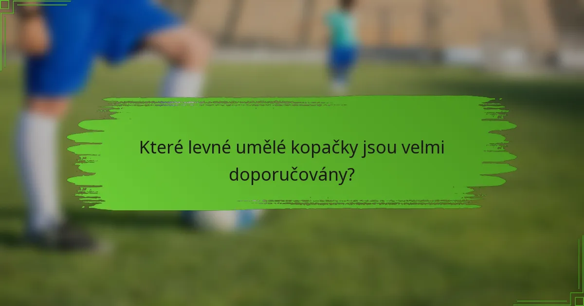 Které levné umělé kopačky jsou velmi doporučovány?